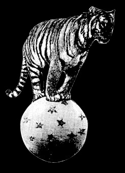 digitaltiger